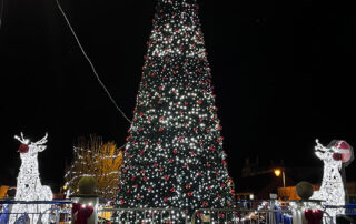 Ballinasloe Christmas Lights